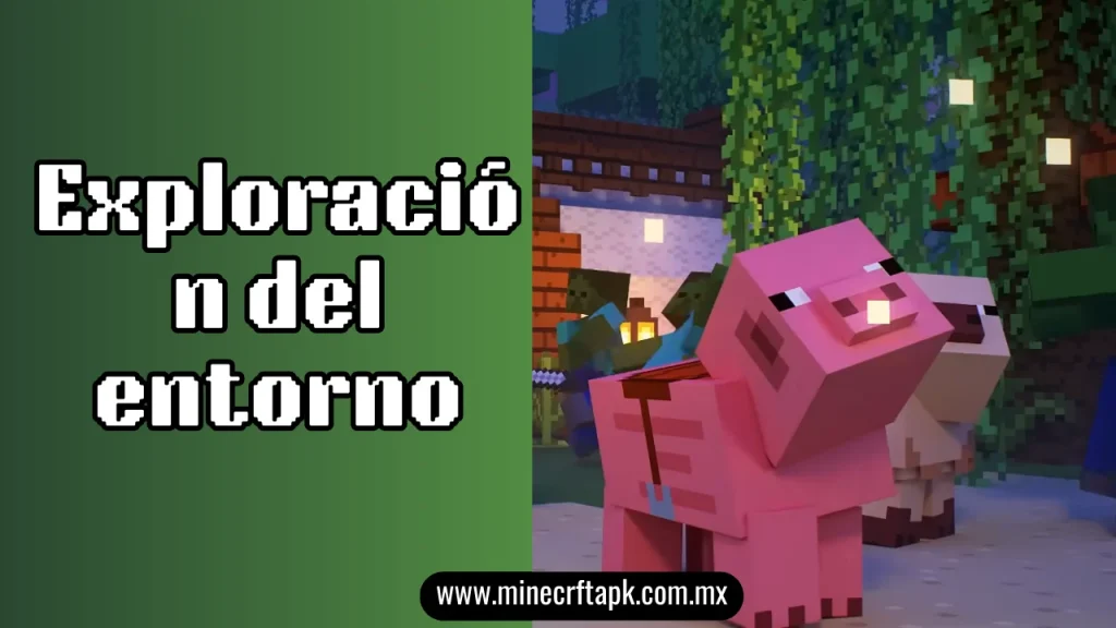 Exploración del entorno