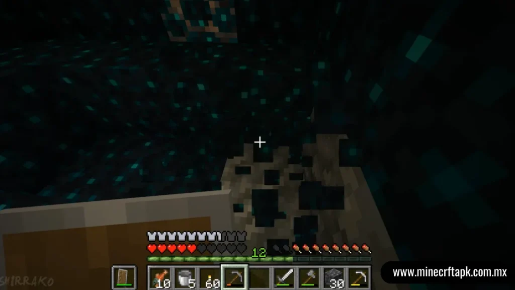 Minecraft APK (1)
