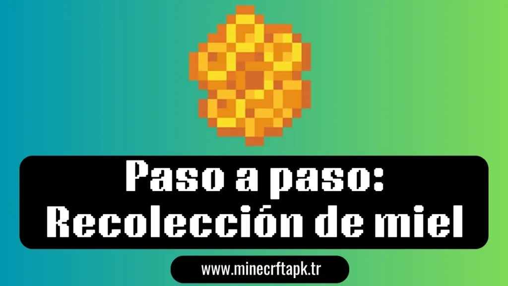 Paso a paso Recolección de miel